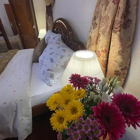 Guest house Tatra Cadca